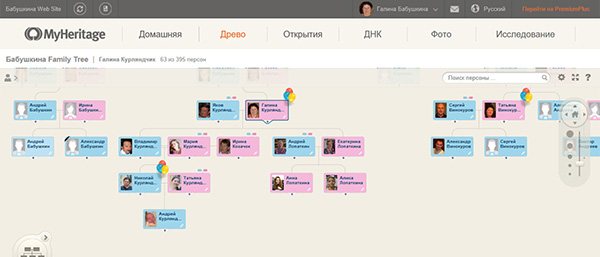 генеалогическое дерево
